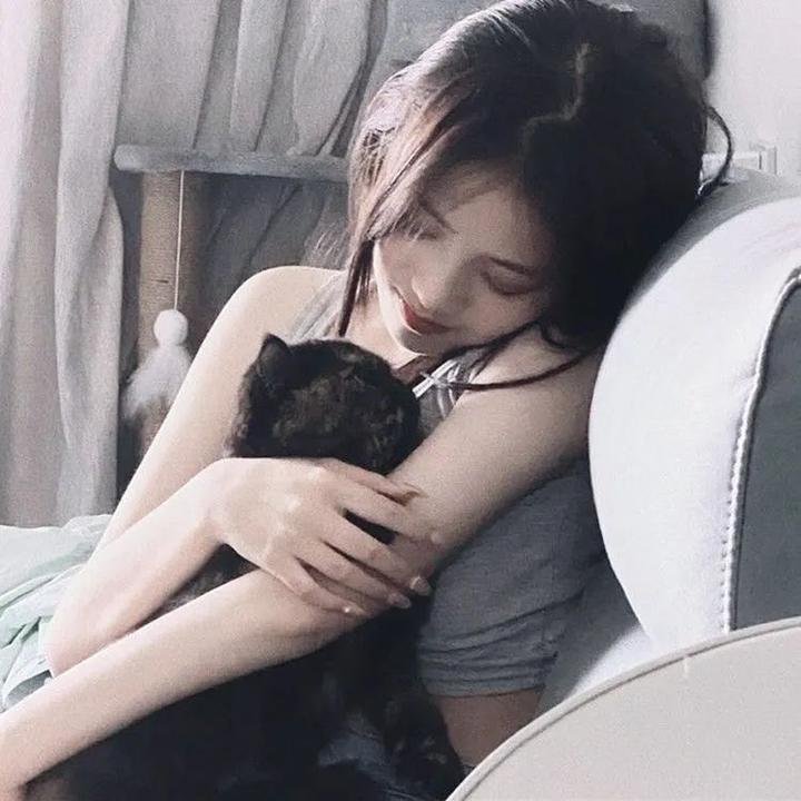 法网追凶第二季